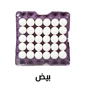 البيض