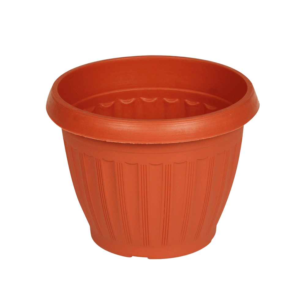 وعاء نبات مستدير