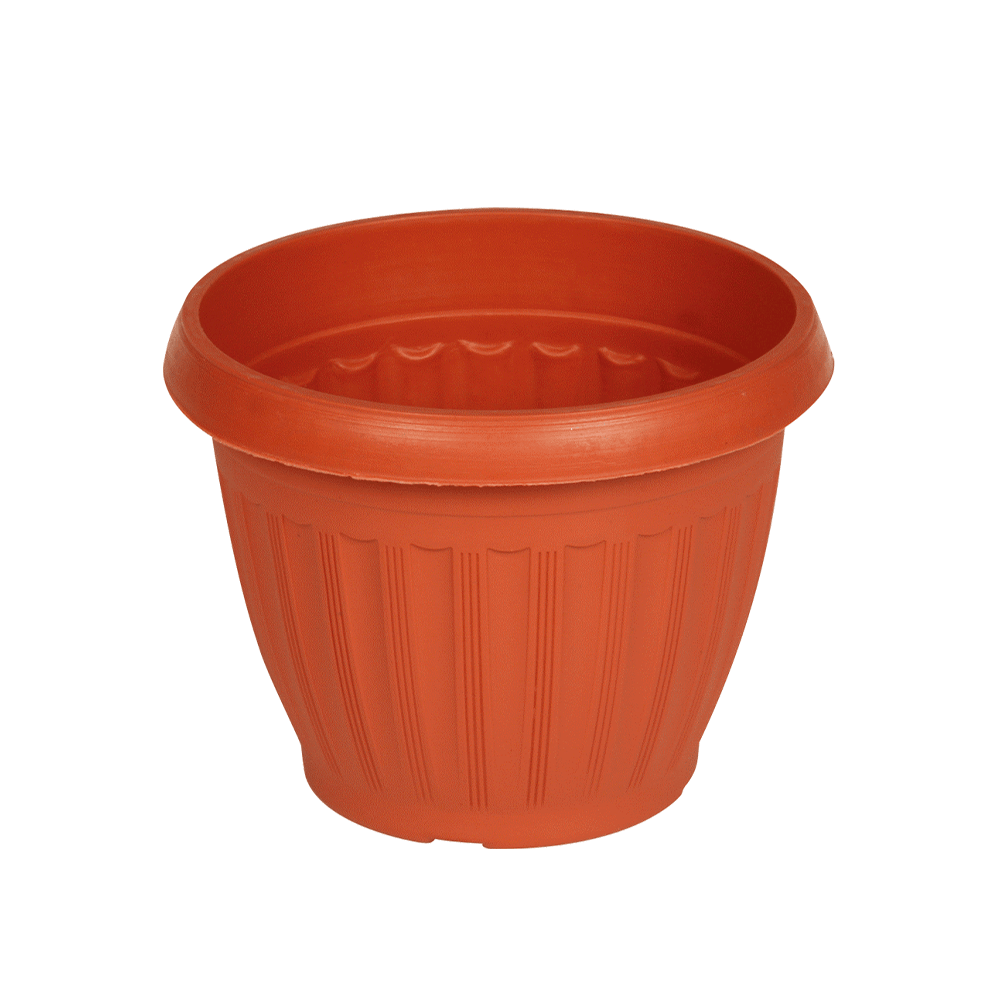 وعاء نبات مستدير