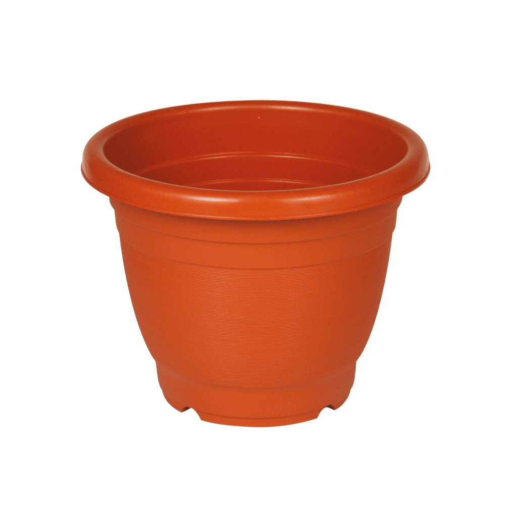 وعاء نبات مستدير