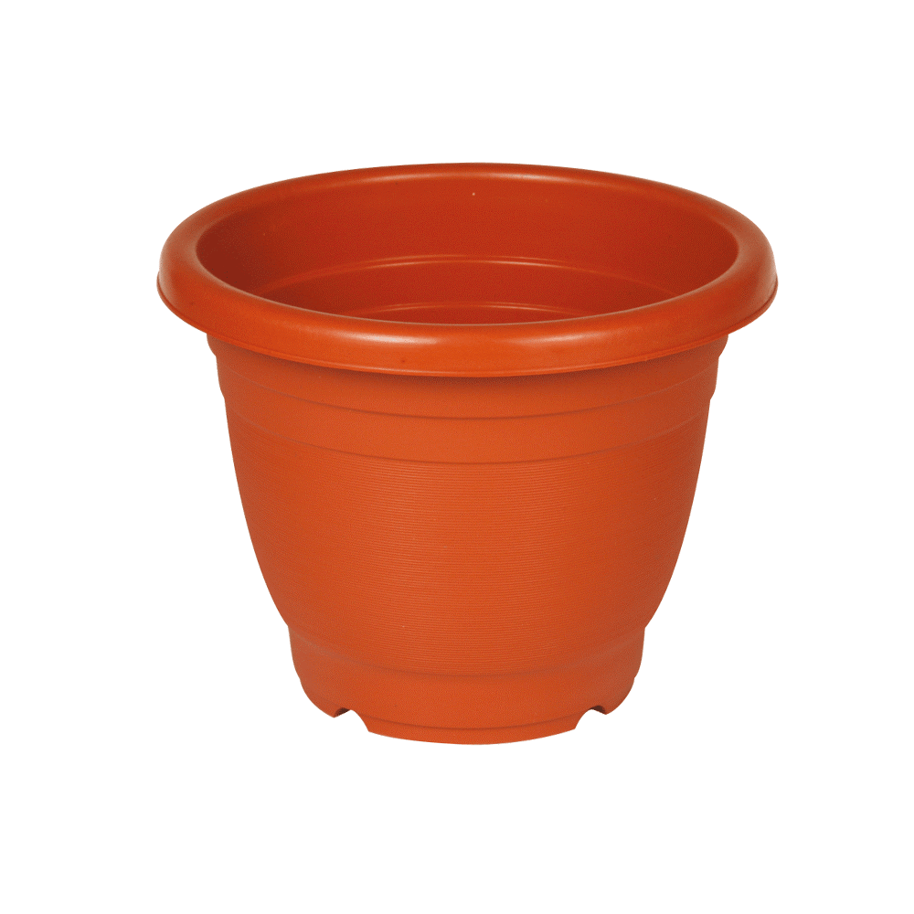 وعاء نبات مستدير