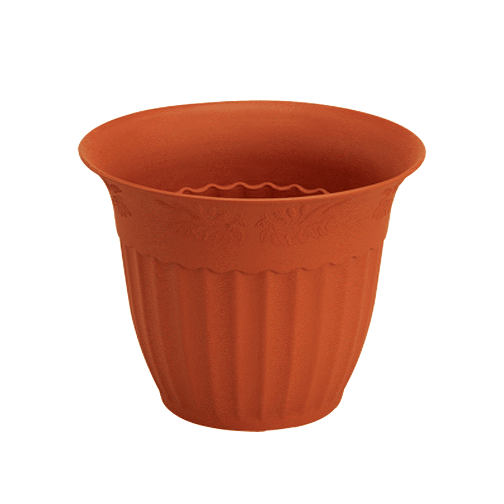 وعاء نبات مستدير شكل كاس