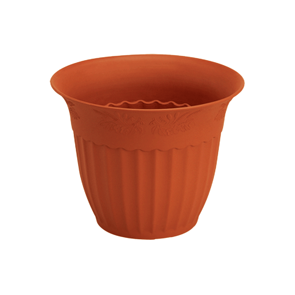 وعاء نبات مستدير شكل كاس