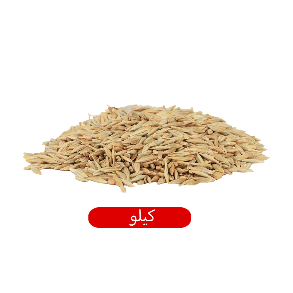 السلاقي بهارات شعير بلدي حَب 1 كجم