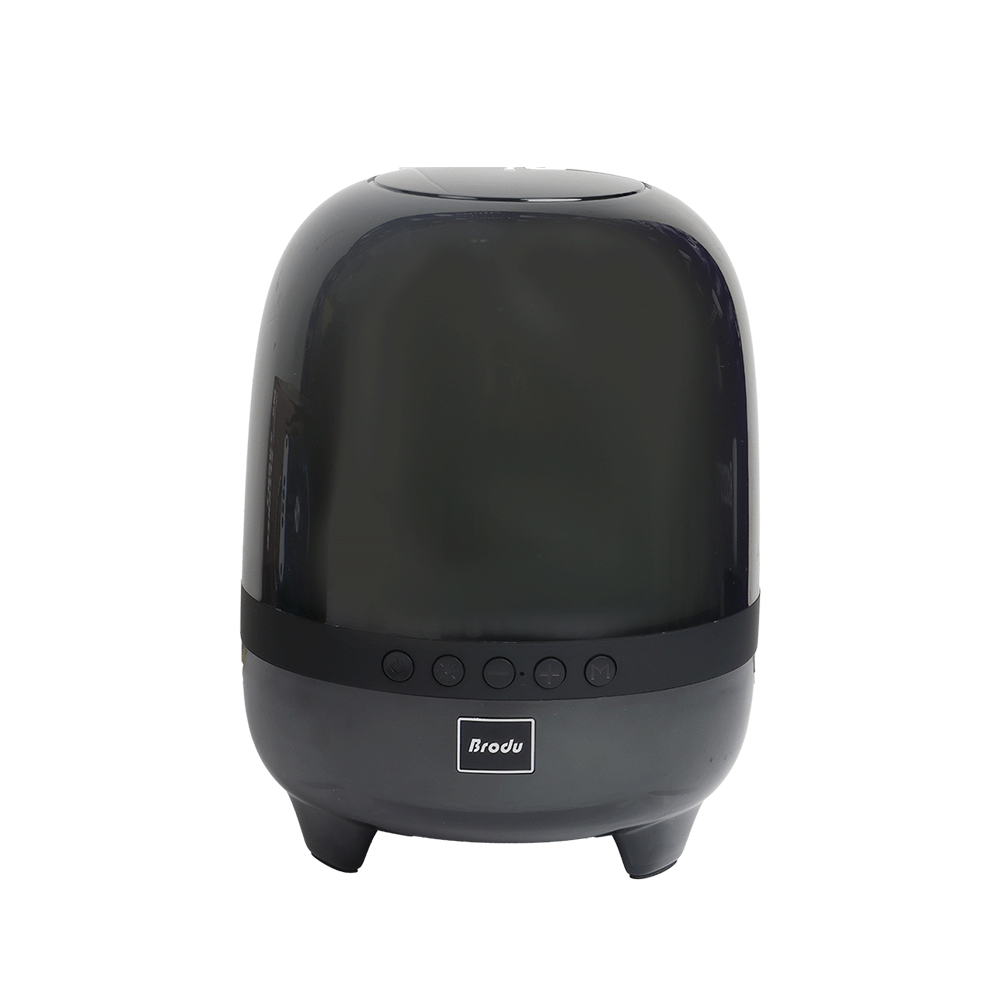 برودو مكبر صوت لاسلكي بقوة 10 واط - موديل BTS-1843