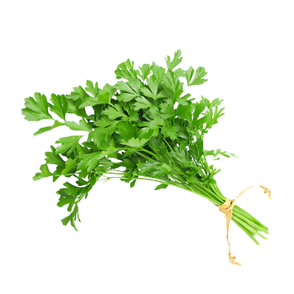 بقدونس أخضر طازج - ربطة صغيرة