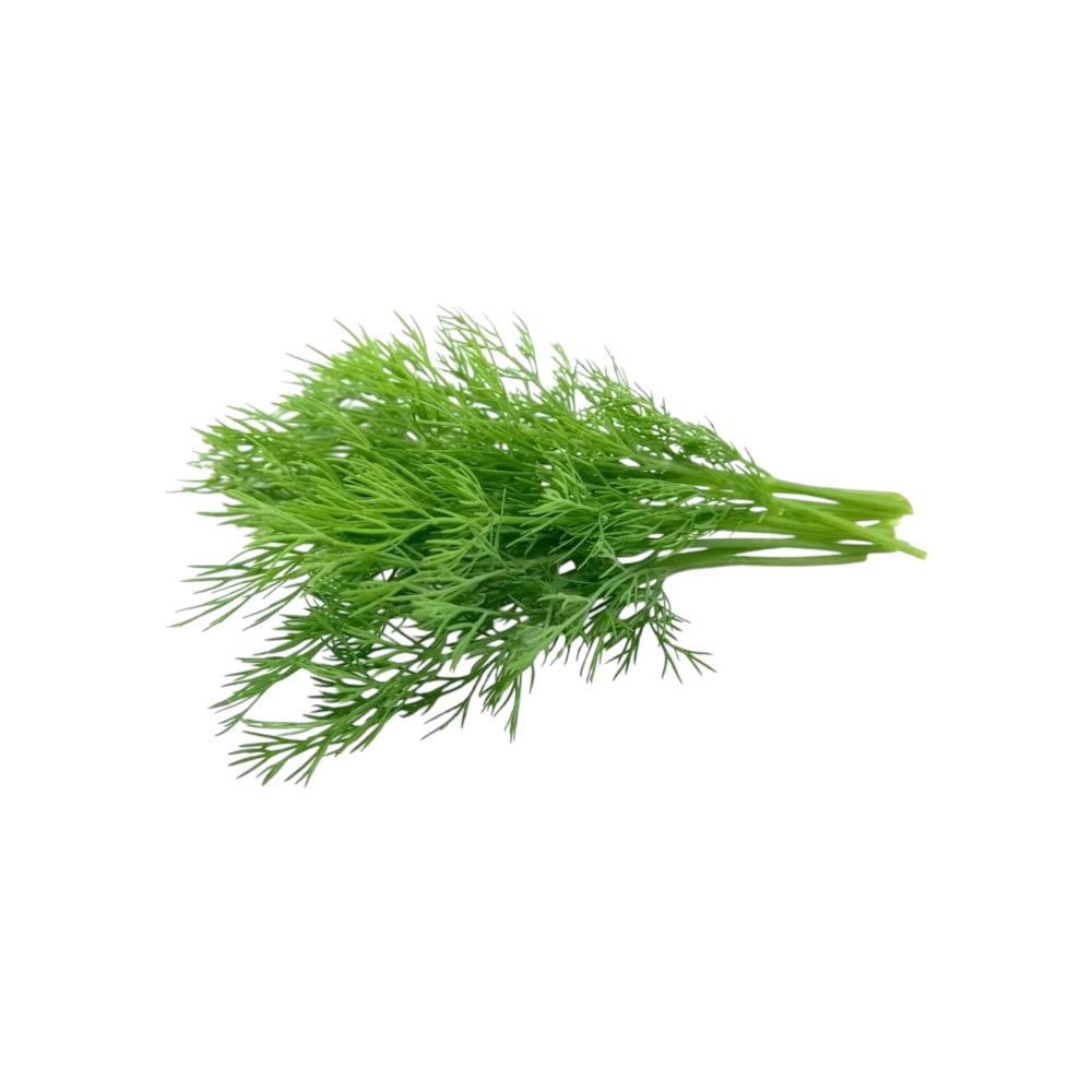 شمر اخضر طازج - ربطة صغيرة 